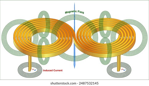 3D Coil Magnetic Field and Induced Current