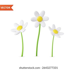 3d colorful daisy flower. Nature elements isolated on white background. 3d rendering. Vector illustration