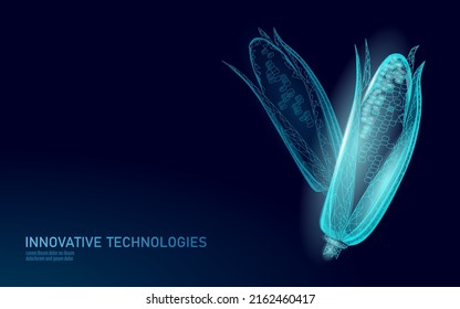 3D corn grain. World food Day hunger awareness. Help charity food help global international refugees vector illustration