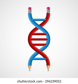 3D creative Icon DNA from pencils.