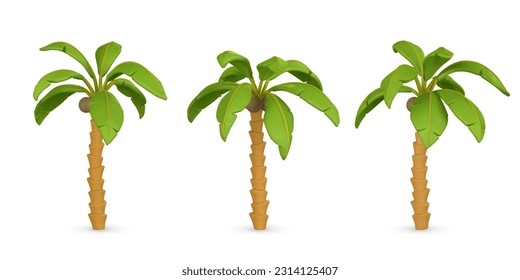 3D Cute cartoon tropical palm tree. Realistic jungle tree on white background. Summertime object. Vector illustration. svg