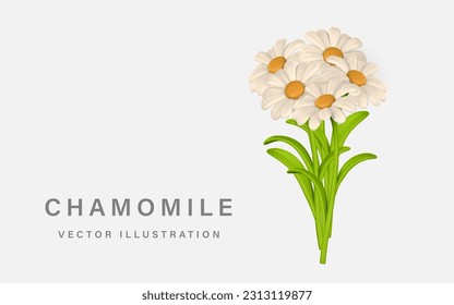 3D Cute colorful bunch of chamomiles. Daisy flower in cartoon style. Vector illustration.