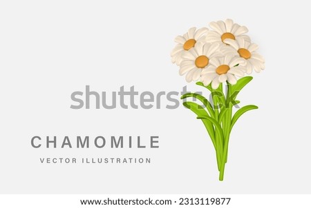 3D Cute colorful bunch of chamomiles. Daisy flower in cartoon style. Vector illustration.