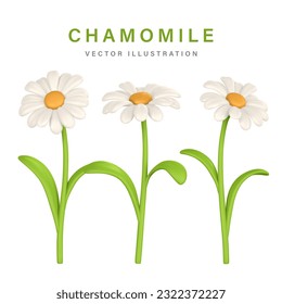 3D Cute colorful chamomile. Daisy flower in cartoon style. Vector illustration.