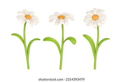 3D Cute colorful daisy flower. Chamomile in cartoon style. Vector illustration.