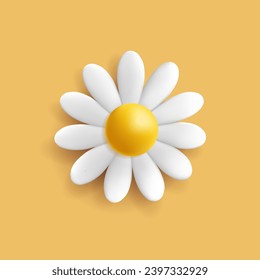 3D Daisy or chamomile flower icon, white delicate flower in bloom render cartoon style