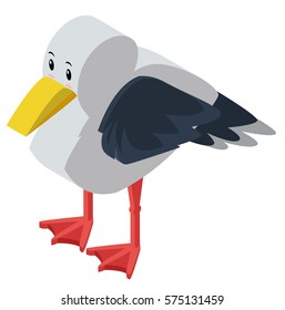 3D design for seagull illustration