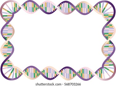 3d DNA helix frame