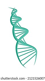 3d dna molecule on white background