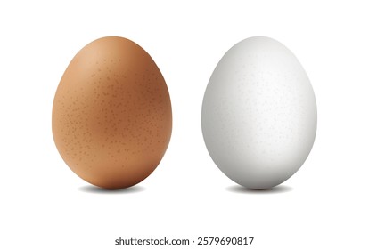 3d eggs isolated on white background. Realistic two eggs on white background