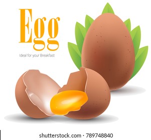 3D eggs set on a white background , isolated , vector, fresh