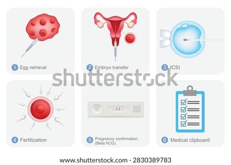3d emoji icon vector illustration set featuring IVF fertility treatment procedures and medical care concepts, including egg retrieval, embryo transfer, ICSI, fertilization, pregnancy confirmation with beta hCG test, and a medical clipboard. Suitable for fertility clinics, reproductive medicine, IVF treatment, pregnancy testing, healthcare websites, medical applications, patient education, and digital communication.