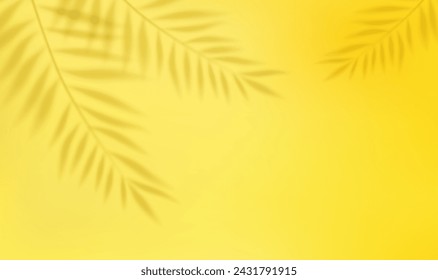 3d Empty light studio abstract background with spotlight effect and tropical palm leaves shadow. concept for your graphic design poster banner and backdrop. 3d rendering. Vector illustration