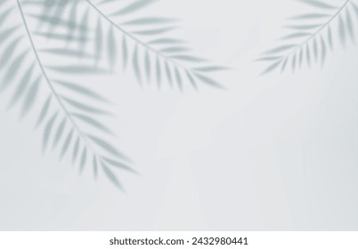 3d Empty light studio abstract background with spotlight effect and tropical palm leaves shadow. concept for your graphic design poster banner and backdrop. 3d rendering. Vector illustration