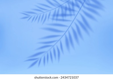 3d Empty light studio abstract background with spotlight effect and tropical palm leaves shadow. concept for your graphic design poster banner and backdrop. 3d rendering. Vector illustration