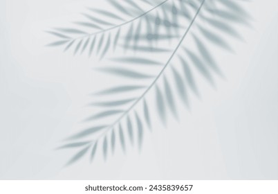 3d Empty light studio abstract background with spotlight effect and tropical palm leaves shadow. concept for your graphic design poster banner and backdrop. 3d rendering. Vector illustration