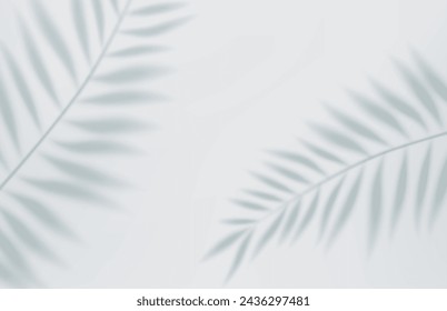 3d Empty light studio abstract background with spotlight effect and tropical palm leaves shadow. concept for your graphic design poster banner and backdrop. 3d rendering. Vector illustration