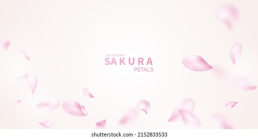 3D falling cherry petals background vector illustration design