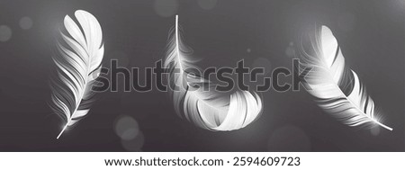 3D feather collection falling on dark gray background. Realistic plumage with delicate barbs from different angles. White downy quills with soft texture. Elegant lightweight floating plumes.