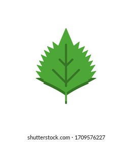 3D flat design style Japanese food : shiso leaf or Beefsteak leaf (Perilla frutescens
) or Perilla icon isolated on white background illustration in vector