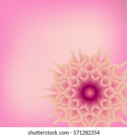 3D flower on pink background . Abstract contemporary template for web or print project. Suitable for banner, voucher, card, invitation or poster design. Clean, peaceful, serenity feeling.