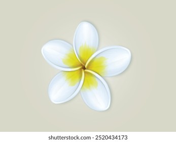 3D Flower Realistic Vector Design on White Background. Realistic 3D Flower Vector Design on White Background – Elegant Floral Illustration for Nature and Decor Concepts
