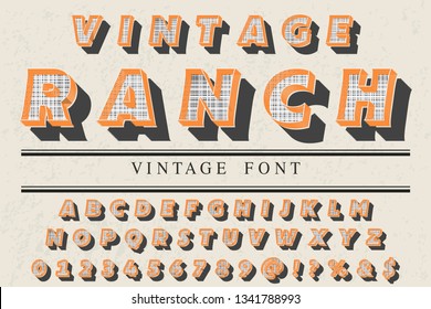3d Font alphabet Script Typeface handcrafted handwritten vector label design named vintage ranch