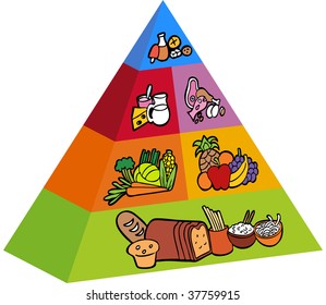 1000 Food Pyramid Drawing Stock Images Photos Vectors