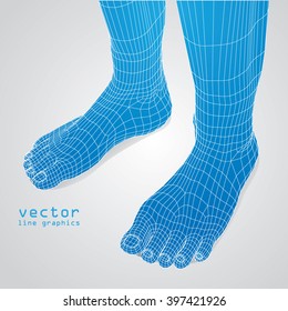 3d foot in polygon vector