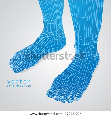 3d foot in polygon vector