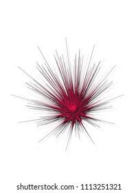3D fractals isolated