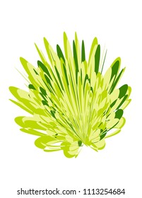3D fractals isolated