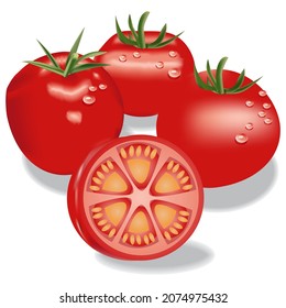 3D Fresh Red Tomato Vector Illustration