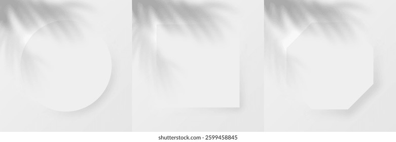 3d geometric frame set. White scene with palm leaf shadow. Realistic background in neumorphism style.