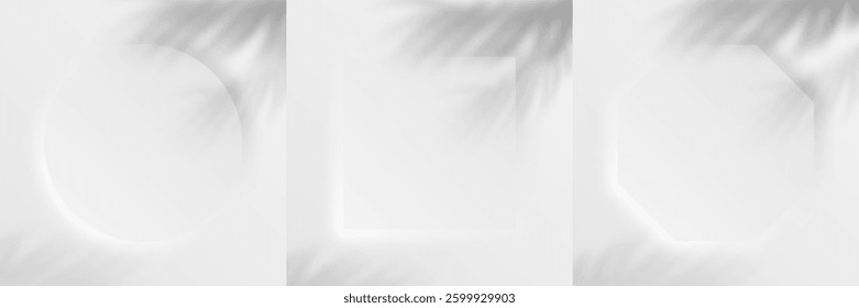 3d geometric frame set. White scene with palm leaf shadow. Realistic background in neumorphism style.