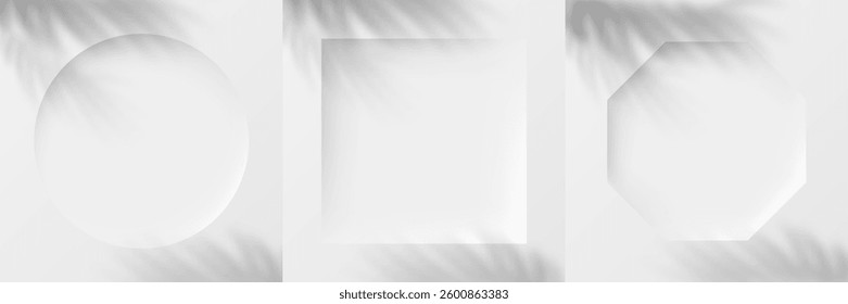 3d geometric frame set. White scene with palm leaf shadow. Realistic background in neumorphism style.