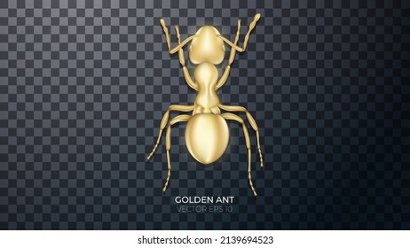 3d golden ant with highlights and reflections. Golden jewelry in the form of an insect, a decorative element Vector photorealistic illustration of isolated on transparent background.