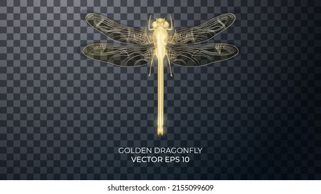 3d golden dragonfly with highlights and reflections. Golden jewelry in the form of an insect, a decorative element Vector photorealistic illustration of isolated on transparent background.