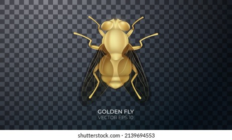 3d golden fly with highlights and reflections. Golden jewelry in the form of an insect, a decorative element Vector photorealistic illustration of isolated on transparent background.