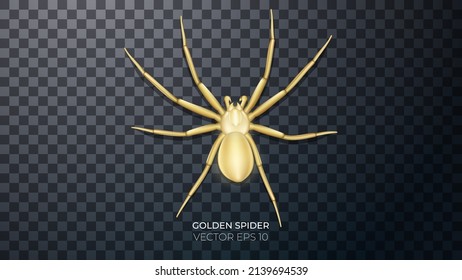 3.ª araña dorada con resaltes y reflexiones. Joyería dorada en forma de insecto, elemento decorativo Ilustración fotorrealista vectorial aislada sobre fondo transparente.