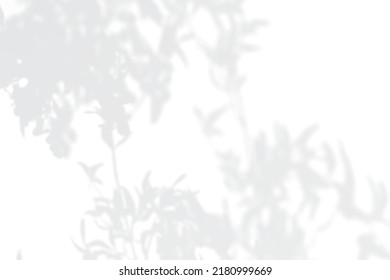 Escena de podio de la pantalla de producto de fondo gris 3d con plataforma cubierta de sombra de hoja. representación 3d del vector de fondo gris con podio. se puede mostrar el producto cosmético. Muestra de escenario en blanco de visualización de pedestal