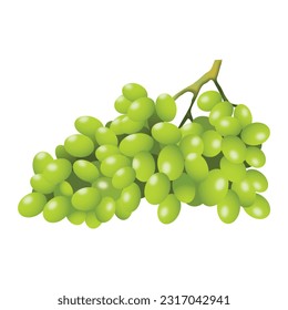 3D Green Bunch of Grapes 