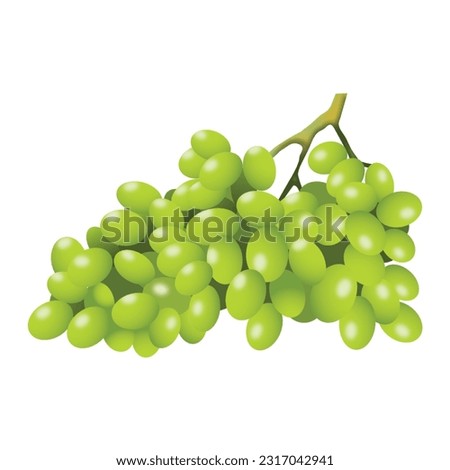 3D Green Bunch of Grapes 