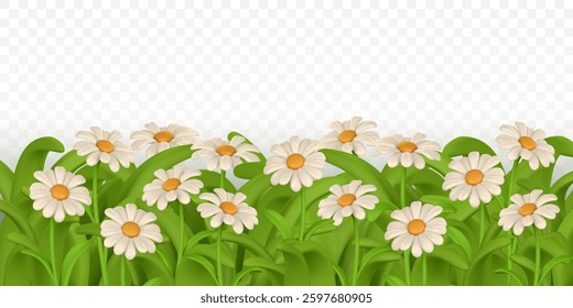 3d green grass border, colorful daisy flower. Chamomile. Vector Illustration.