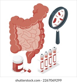 3d Gut health vector illustration. Flat tiny gastrointestinal microbe person concept. Abstract digestive stomach living organisms for healthy life. Lactobacilli, coli and intestinal system environment
