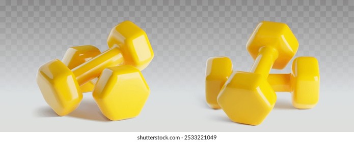 3d gym weight for sport exercise. Fitness dumbbell workout equipment icon. Realistic fit lifestyle element for strong muscle and bodybuilding. Two heavy weigh accessories design. Dumbell for training