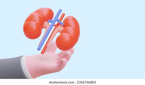 3D hand holding kidneys. Clinic services, examination, treatment. Poster for urologist, nephrologist. Human internal organs. Transplantation, surgery. Organ donation. World Kidney Day