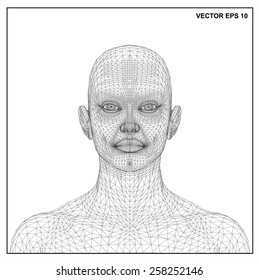 3d head of a woman in a wireframe view.