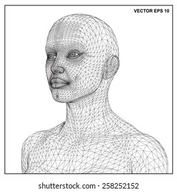 3d head of a woman in a wireframe view.