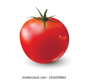 3d highly realistic fresh big whole tomato isolated on white background vector gradient mesh illustration. Object design for sale of vegetables